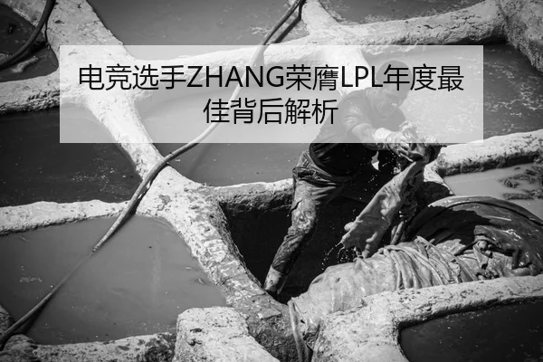 电竞选手ZHANG荣膺LPL年度最佳背后解析