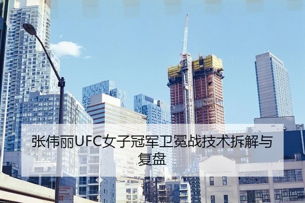 张伟丽UFC女子冠军卫冕战技术拆解与复盘